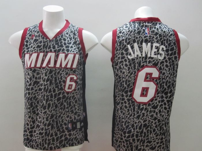 NBA Miami Heat #6 James Leopard Jersey