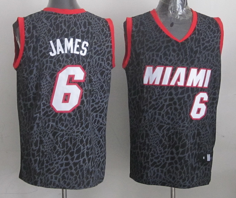 NBA Miami Heat #6 James Black Leopard Jersey