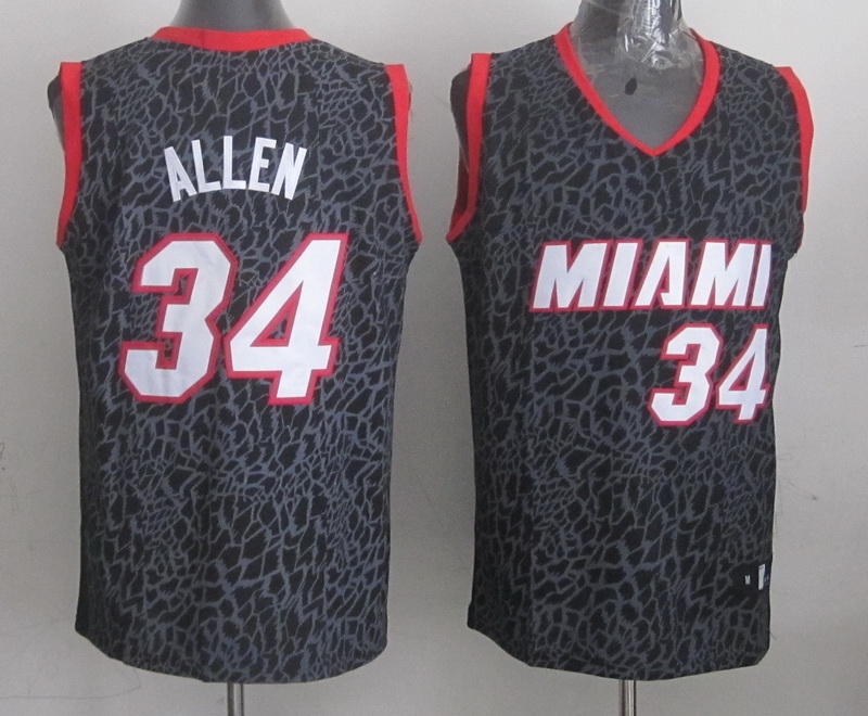 NBA Miami Heat #34 Allen Black Red Leopard Jersey