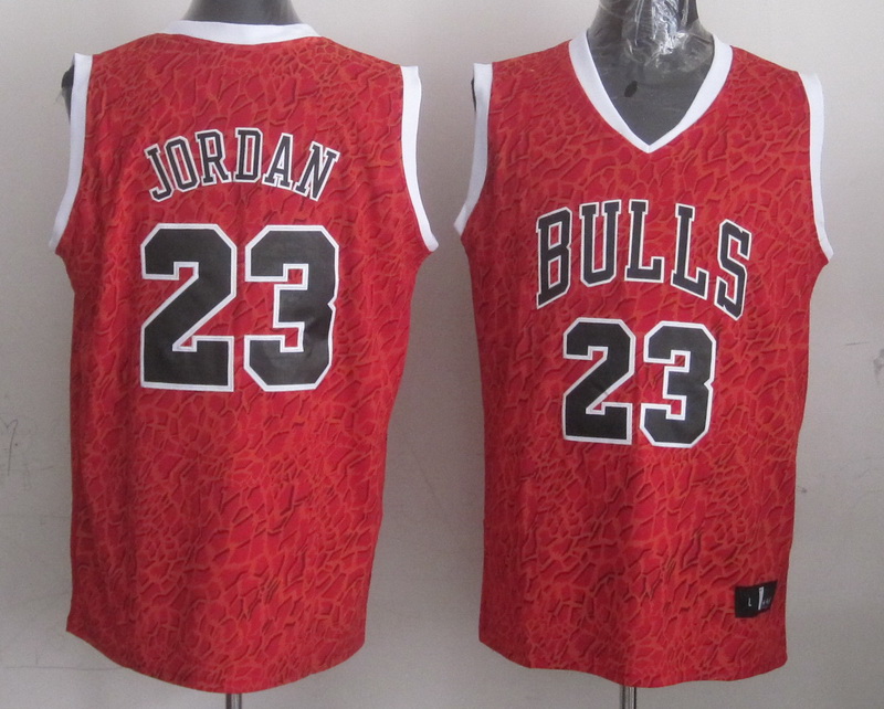 NBA Chicago Bulls #23 Jordan Red Leopard Jersey