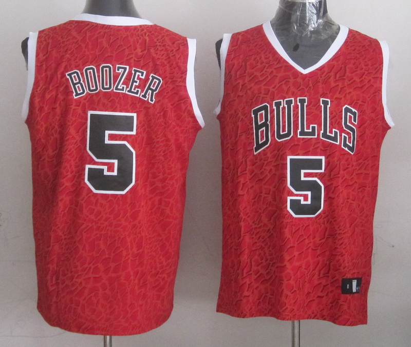 NBA Chicago Bulls #5 Boozer Red Leopard Jersey