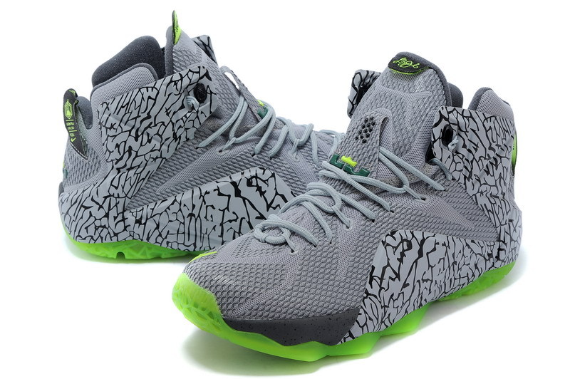 Nike Basketball Lebron James Grey Shoes 12