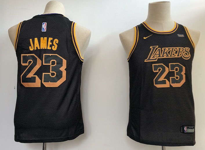 Kids NBA Los Angeles Lakers #23 James Black Jersey