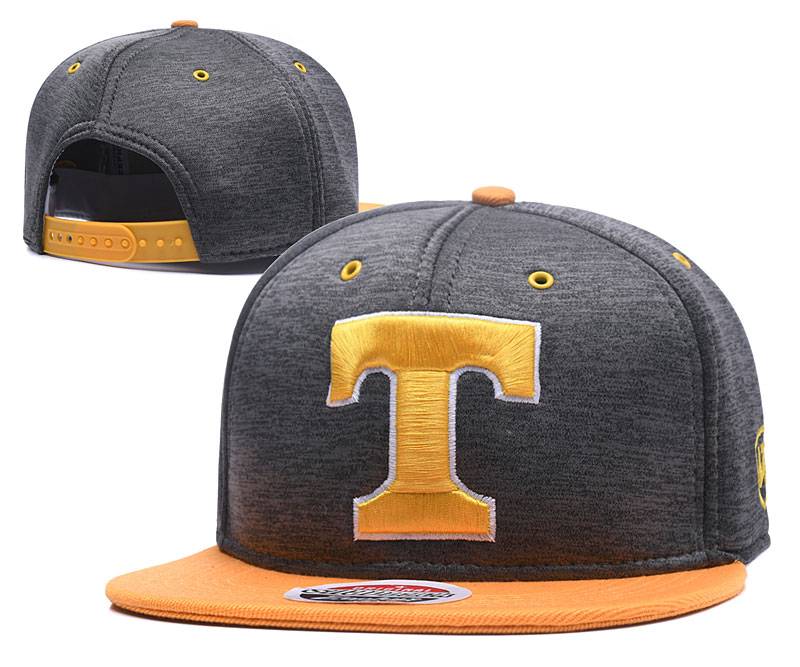 NCAA Texas Longhorns Snapback Hats--GS