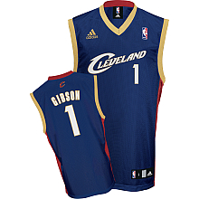 Daniel Gibson Jersey Blue Alternate #1 NBA Cleveland Cavaliers Jersey