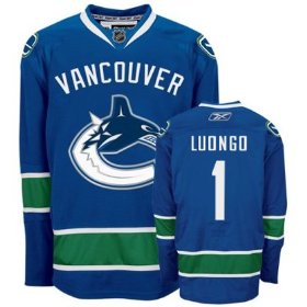 Blue R.Luongo Home NHL Vancouver Canucks #1 Jersey